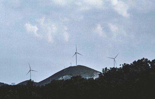 wind farm